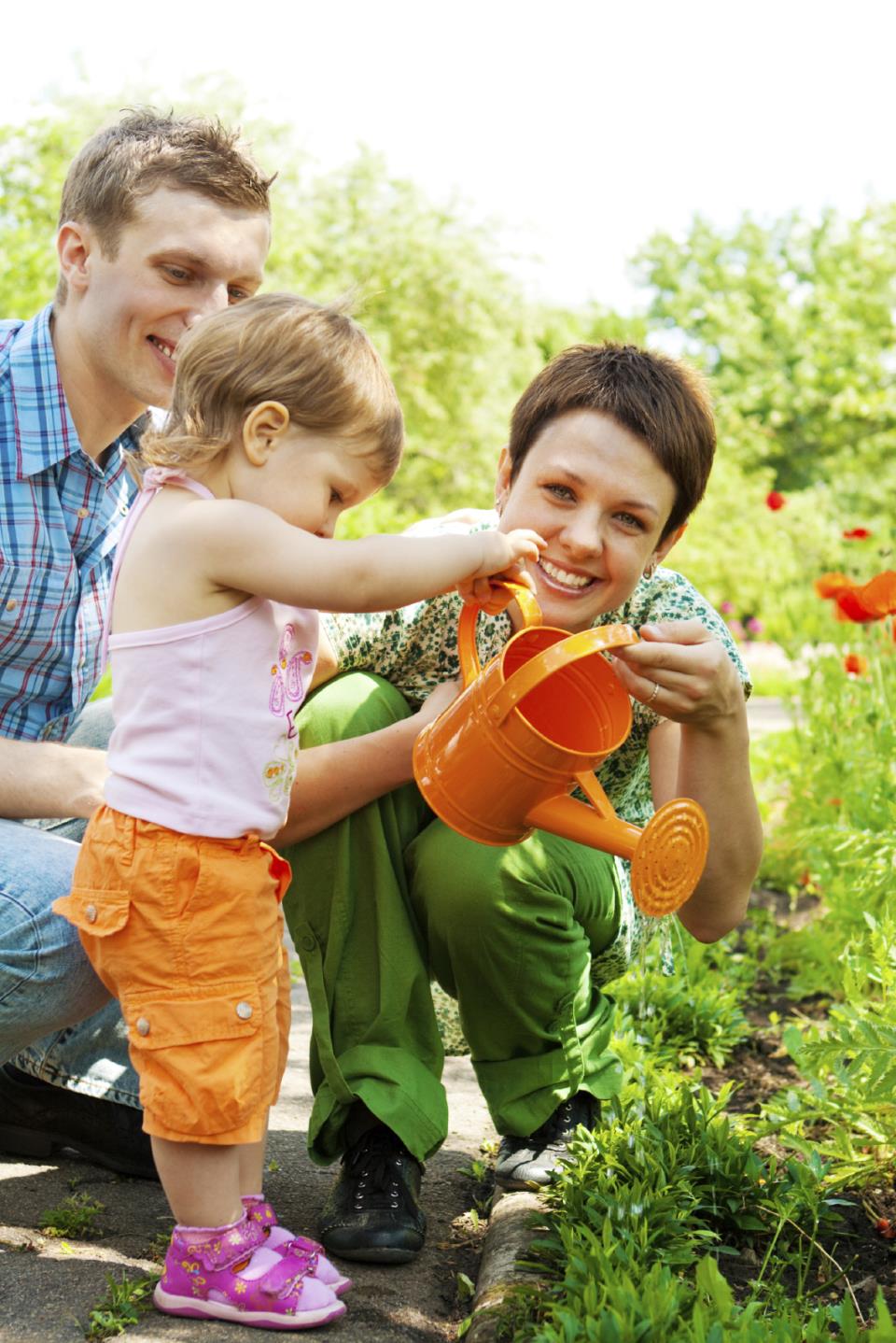 Family watering plants - Medium