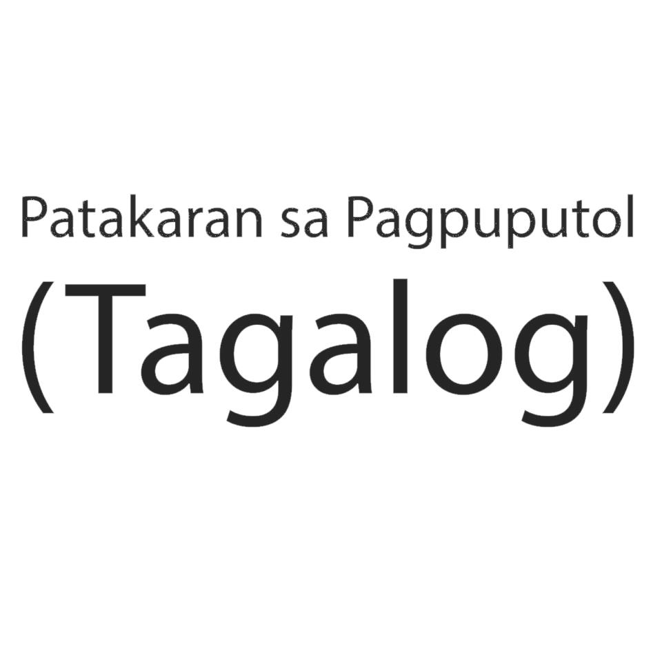 Disconnection of Service for Non-payment document in Tagalog